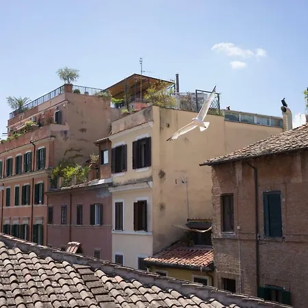 Rooftop Trastevere * Roma